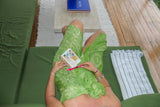OM Sarong - Iced Matcha